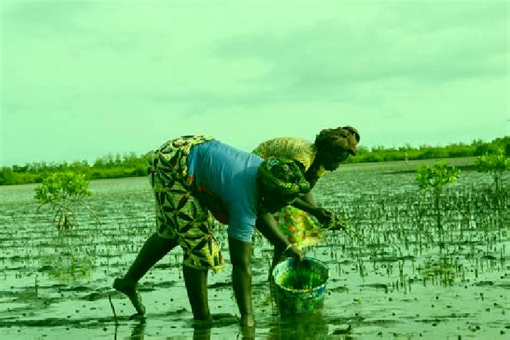 Escorts Diattakounda, Senegal — Local Companions