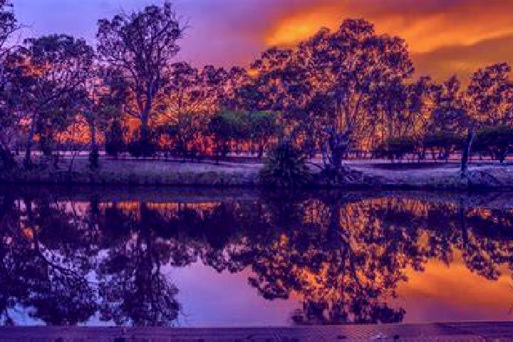 Escorts Dimboola, Australia — Local Companions