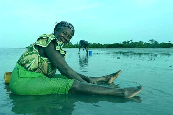 Escorts Dingirie, Gambia — Local Companions