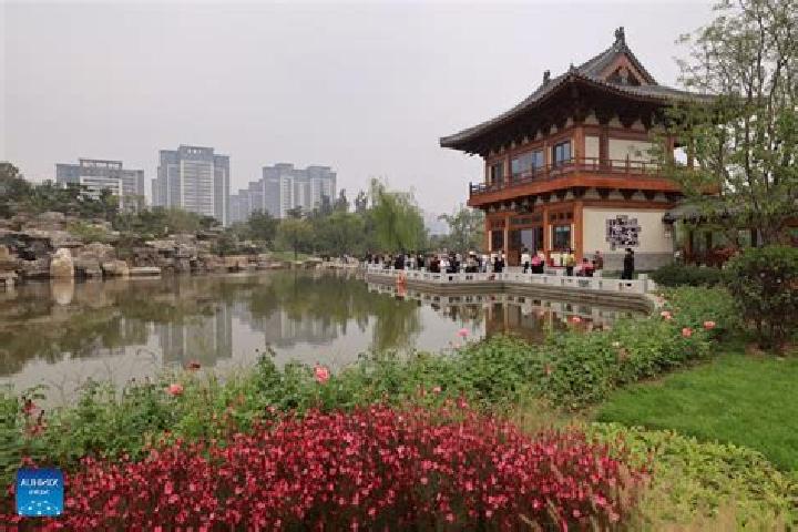 Escorts Dingzhou, China — Local Companions