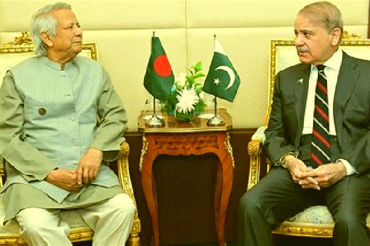 Escorts Diplo, Pakistan — Local Companions
