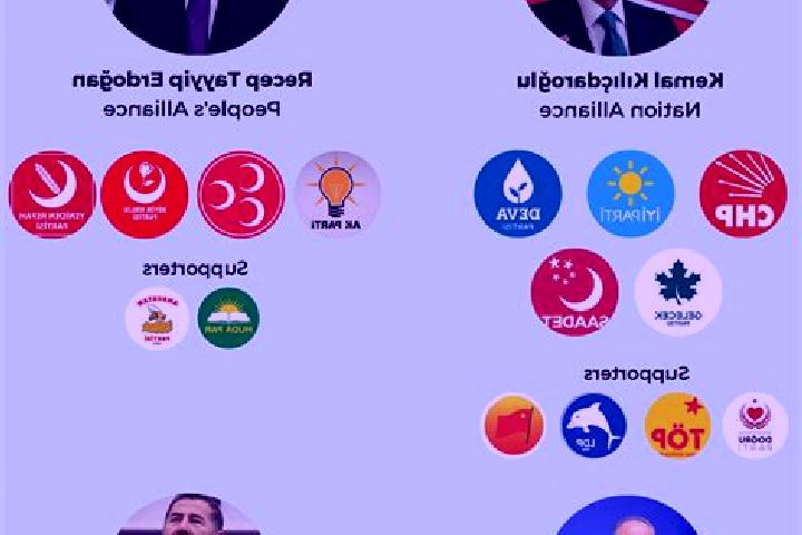 Escorts Dislibasak, Turkey — Local Companions