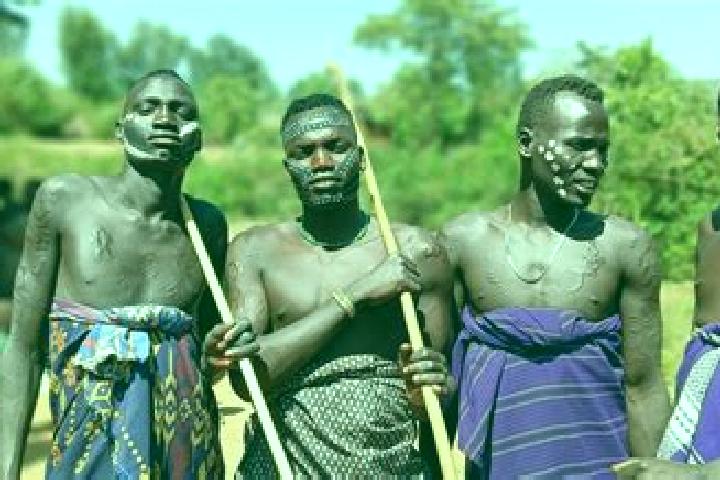 Escorts Dodola, Ethiopia — Local Companions