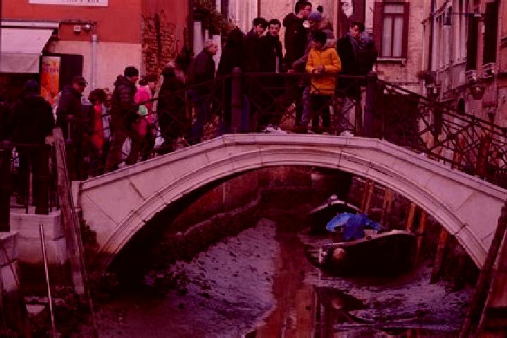 Escorts Dogato, Italy — Local Companions