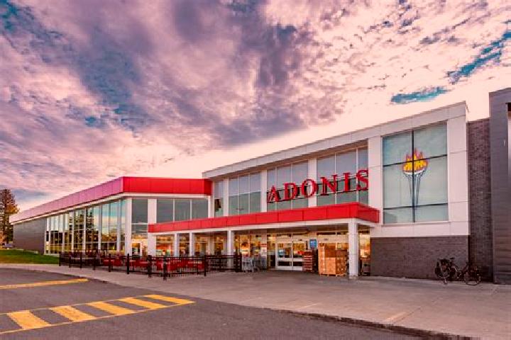 Escorts Dollard-Des Ormeaux, Canada — Local Companions