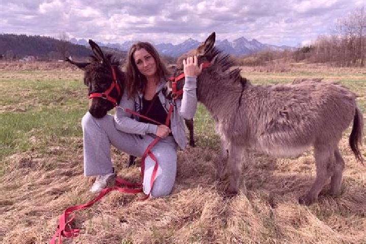 Escorts Dolni Brezany, Czech Republic — Local Companions
