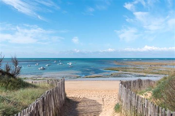 Escorts Dolus-d Oleron, France — Local Companions