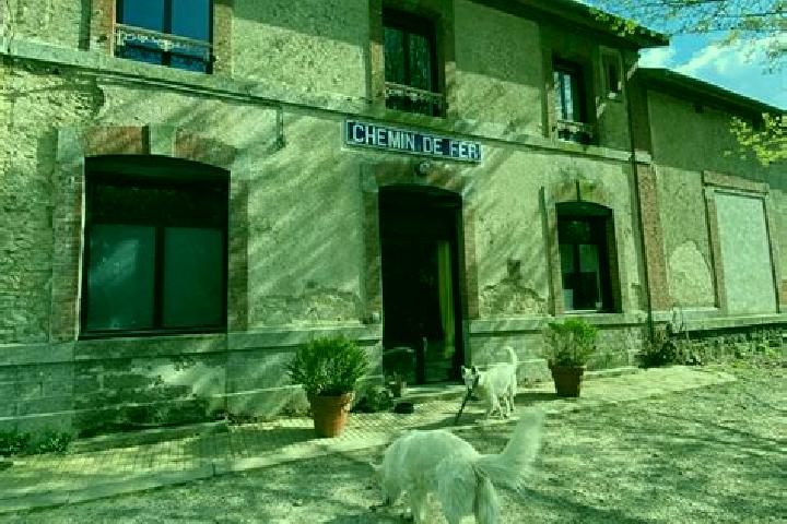 Escorts Dompierre-du-Chemin, France — Local Companions