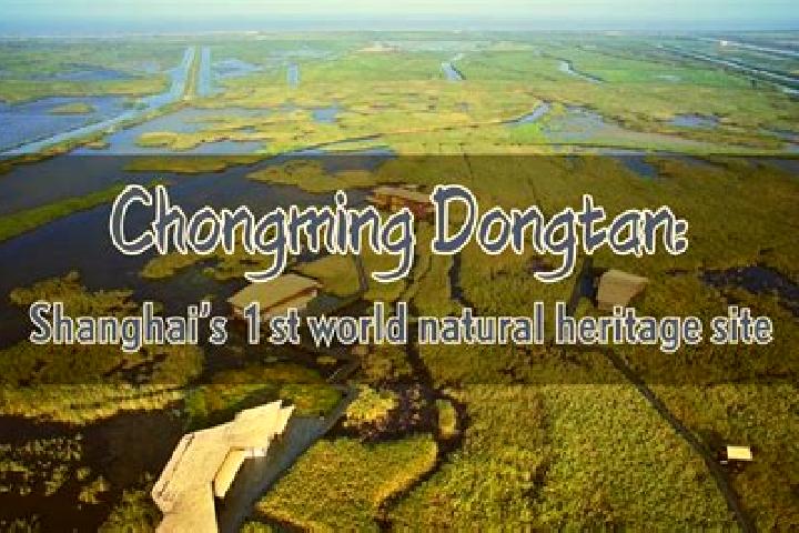 Escorts Dongtan, China — Local Companions