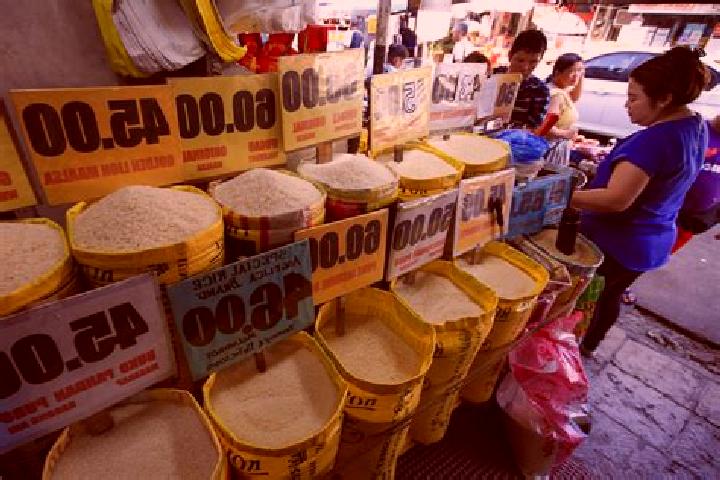 Escorts Doong, Philippines — Local Companions