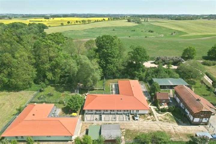 Escorts Dorf Mecklenburg, Germany — Local Companions