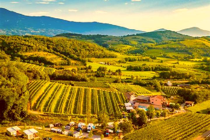 Escorts Dornberk, Slovenia — Local Companions