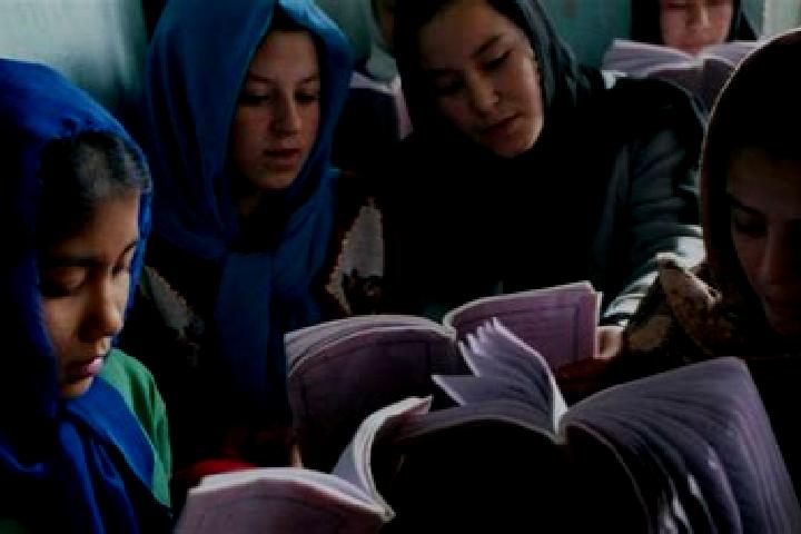 Escorts Doshi, Afghanistan — Local Companions