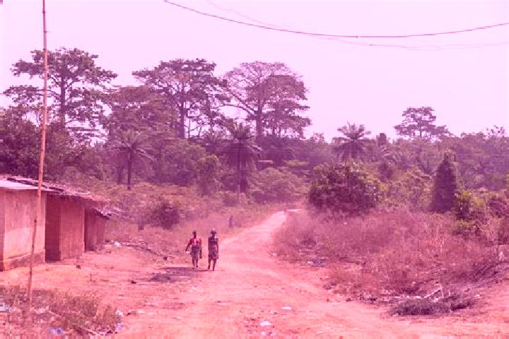Escorts Douele, Ivory Coast — Local Companions