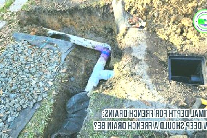 Escorts Drain, France — Local Companions