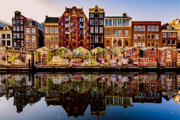 Escorts Driel, Netherlands — Local Companions