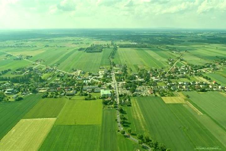 Escorts Drzewica, Poland — Local Companions