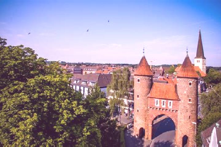 Escorts Duelmen, Germany — Local Companions
