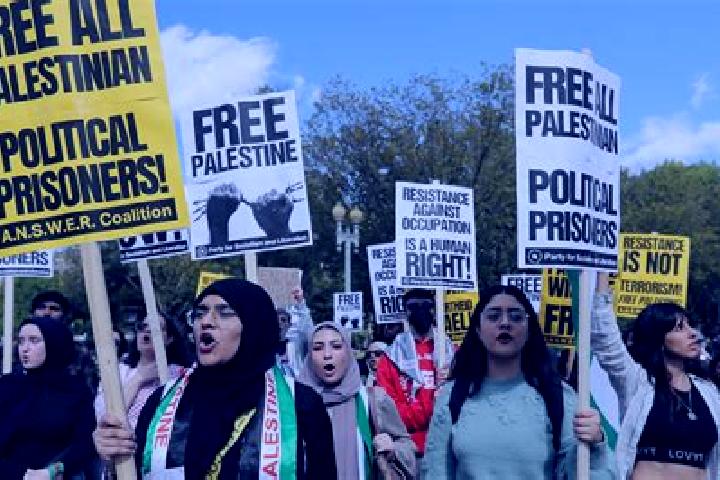 Escorts Duma, Palestine — Local Companions
