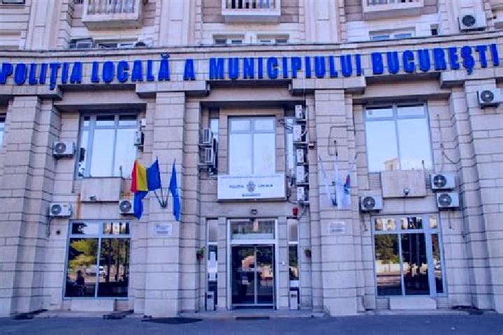Escorts Dumbravesti, Romania — Local Companions