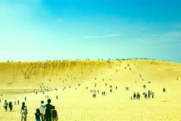 Escorts Dunes, France — Local Companions