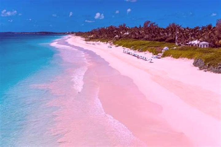 Escorts Dunmore Town, Bahamas — Local Companions