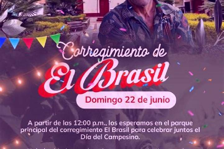 Escorts Ebejico, Colombia — Local Companions