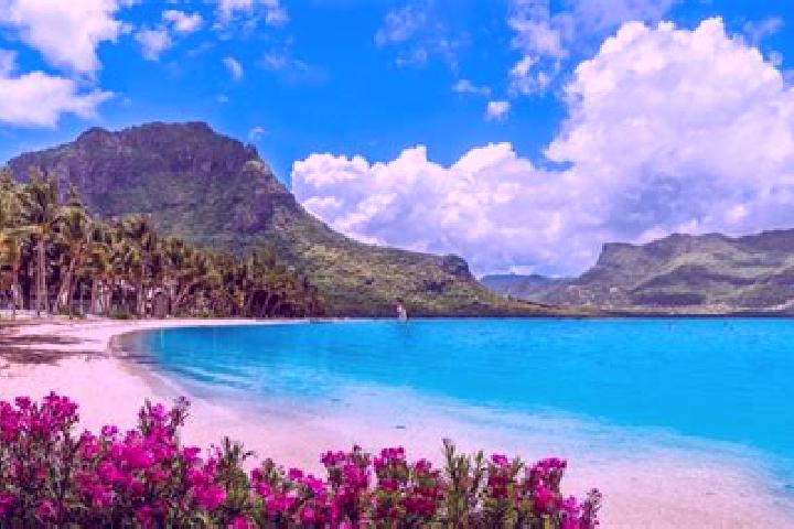 Escorts Ecroignard, Mauritius — Local Companions