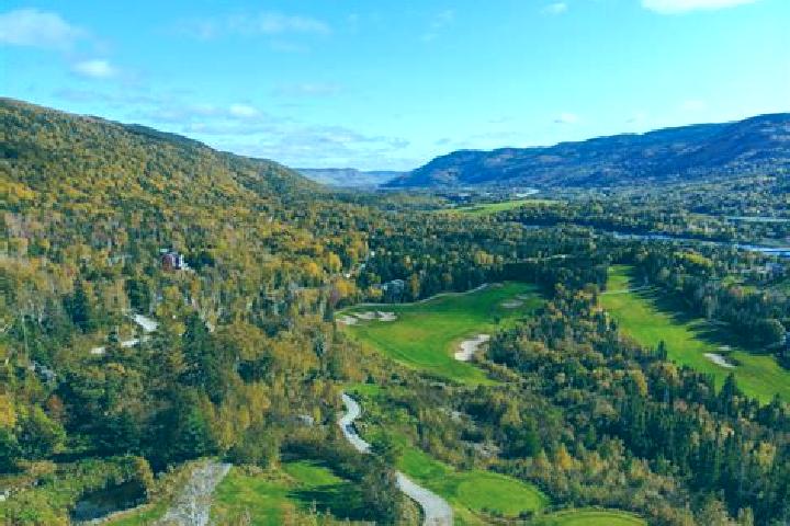 Escorts Edenbridge-Humber Valley, Canada — Local Companions