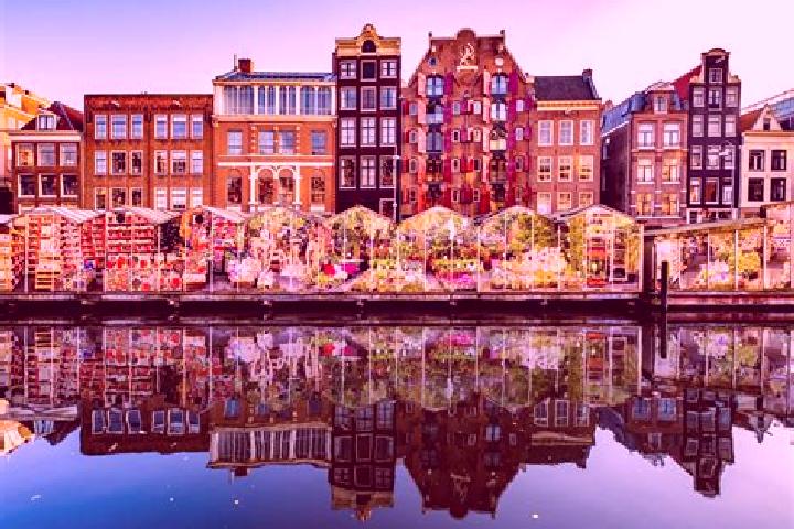 Escorts Eemnes, Netherlands — Local Companions