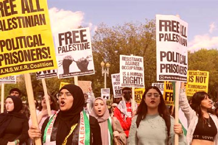 Escorts Efrata, Palestine — Local Companions