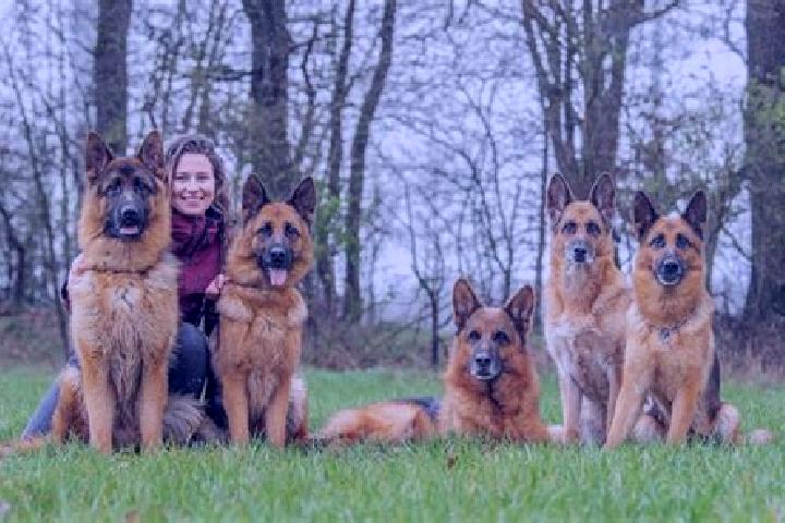 Escorts Egglham, Germany — Local Companions