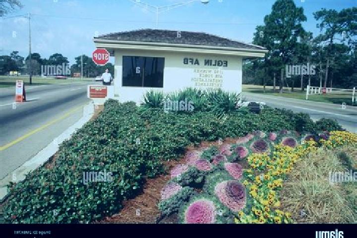 Escorts Eglin Village, United States — Local Companions