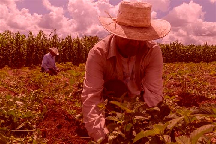 Escorts Ejido de San Mateo Coapexco, Mexico — Local Companions