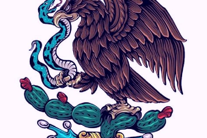 Escorts El Aguila, Mexico — Local Companions