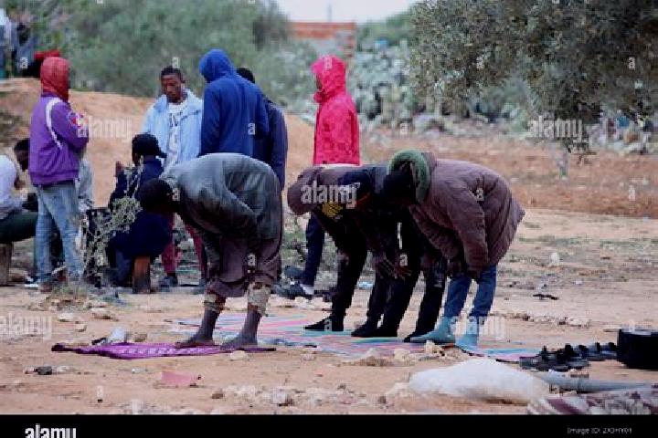 Escorts El Amra, Tunisia — Local Companions