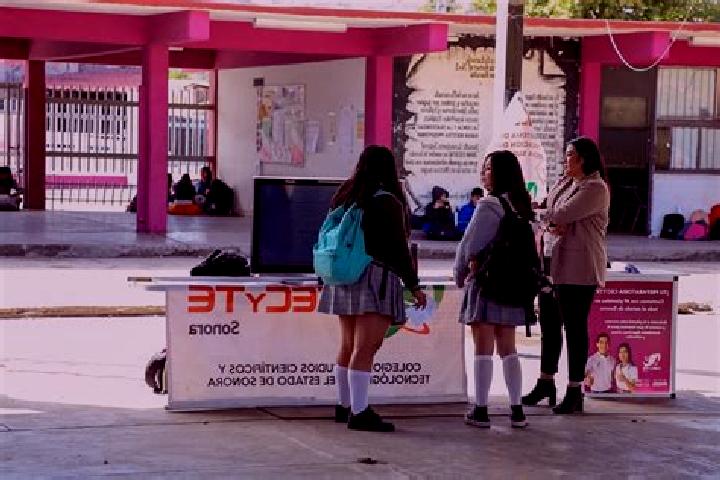 Escorts El Anonal, Mexico — Local Companions