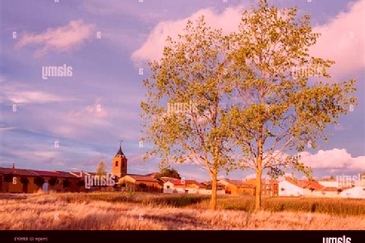 Escorts El Burgo Ranero, Spain — Local Companions