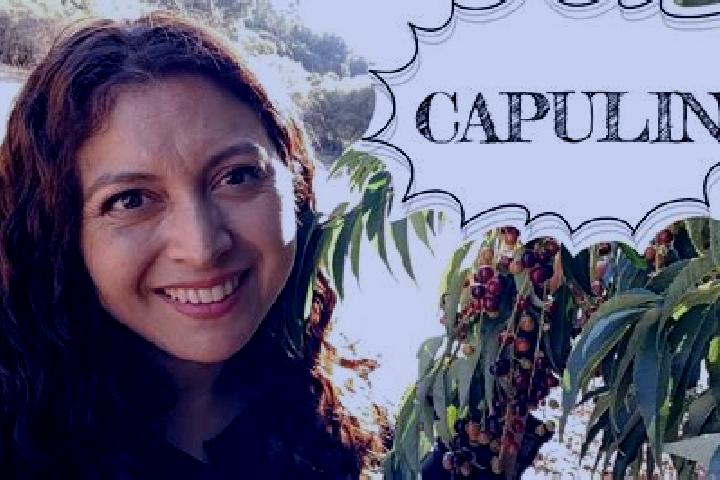 Escorts El Capulin, Mexico — Local Companions