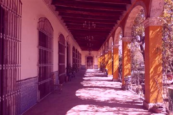 Escorts El Cazadero, Mexico — Local Companions