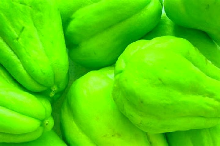 Escorts El Chayote, Mexico — Local Companions