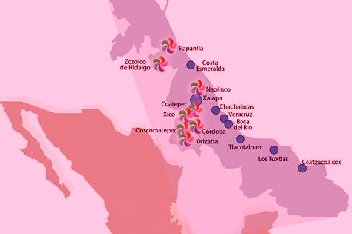 Escorts El Fortin May, Mexico — Local Companions