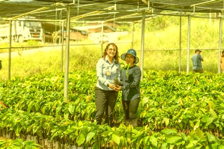 Escorts El Guismi, Ecuador — Local Companions