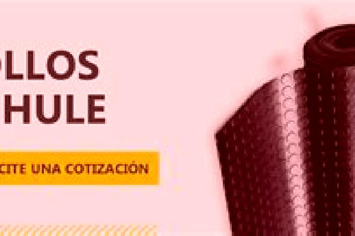 Escorts El Hule Nuevo, Mexico — Local Companions