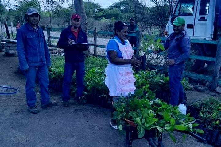 Escorts El Jicaral, Nicaragua — Local Companions