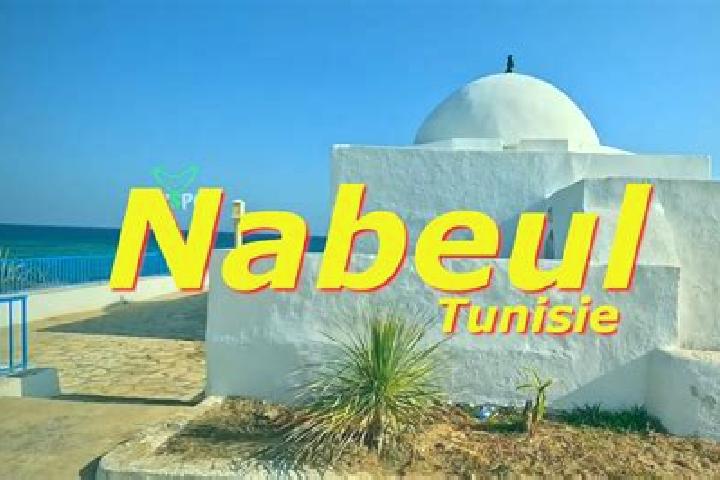 Escorts El Maamoura, Tunisia — Local Companions