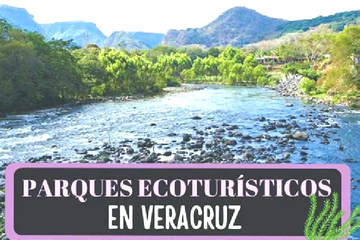 Escorts El Mameyal, Mexico — Local Companions