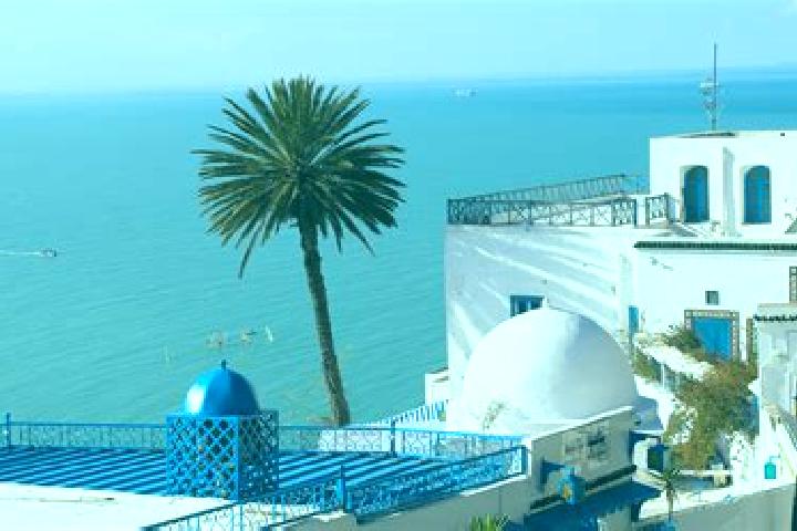 Escorts El Mida, Tunisia — Local Companions