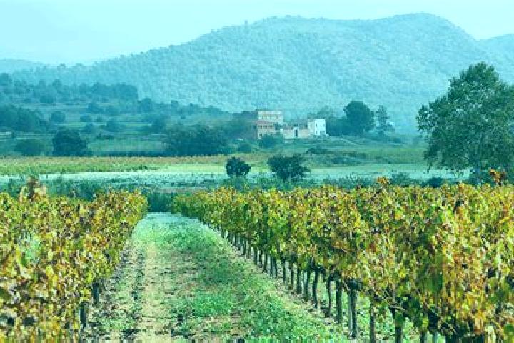 Escorts el Pla del Penedes, Spain — Local Companions