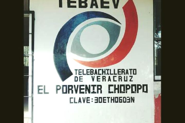 Escorts El Porvenir Chopopo, Mexico — Local Companions